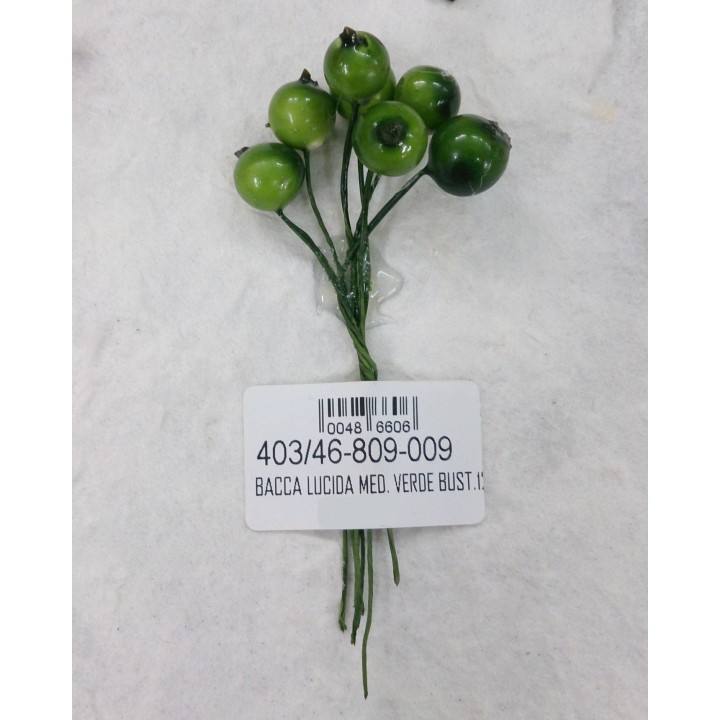 Bacca lucida med. Verde bust.120 | CarinCasa