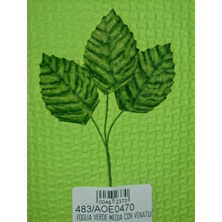 Foglia verde media con venatura imb.144 | CarinCasa