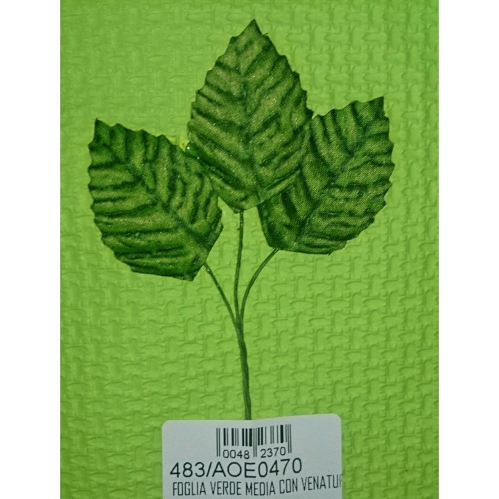 Foglia verde media con venatura imb.144 | CarinCasa