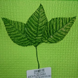 Foglia verdecon venatura imb.144 | CarinCasa