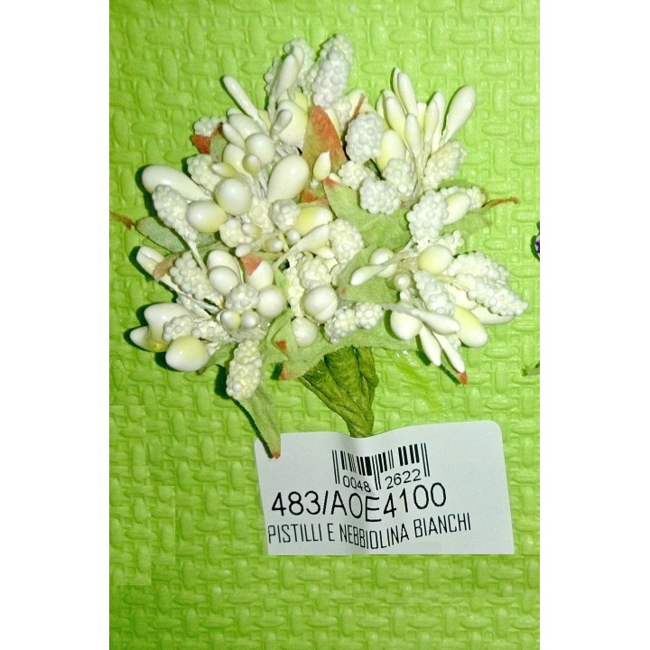 Pistilli e nebbiolina bianchi | CarinCasa