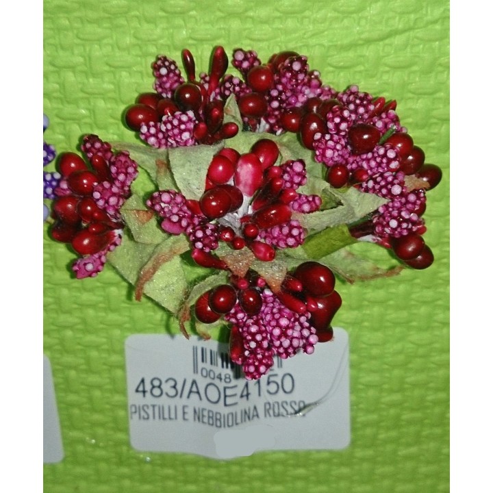 Pistilli e nebbiolina rosso | CarinCasa