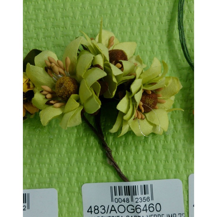 Margherita carta verde imb.72 | CarinCasa