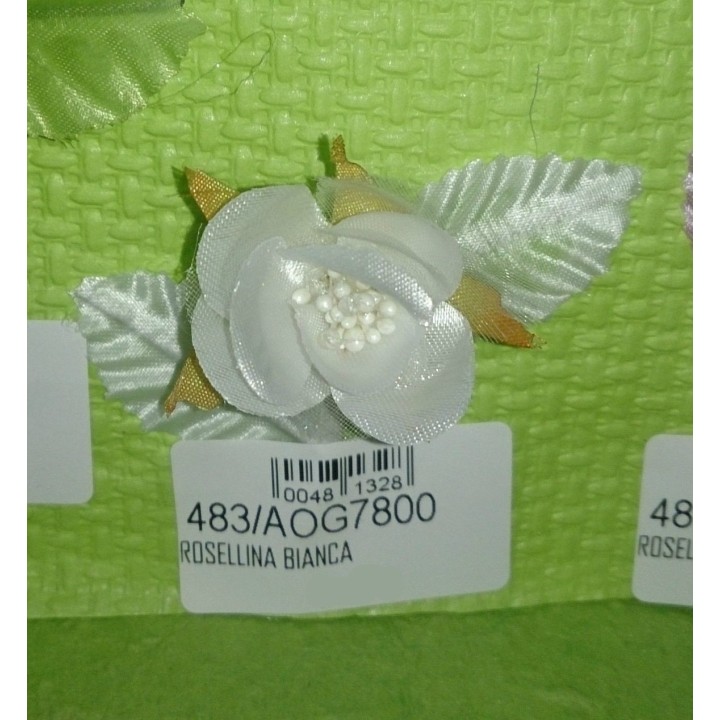 Rosellina bianca | CarinCasa