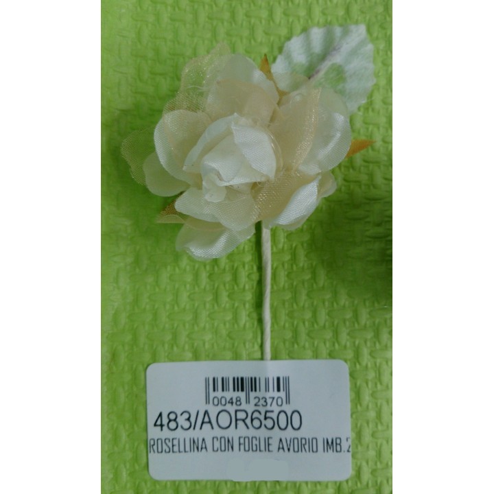 Rosellina con foglie avorio imb.24 | CarinCasa