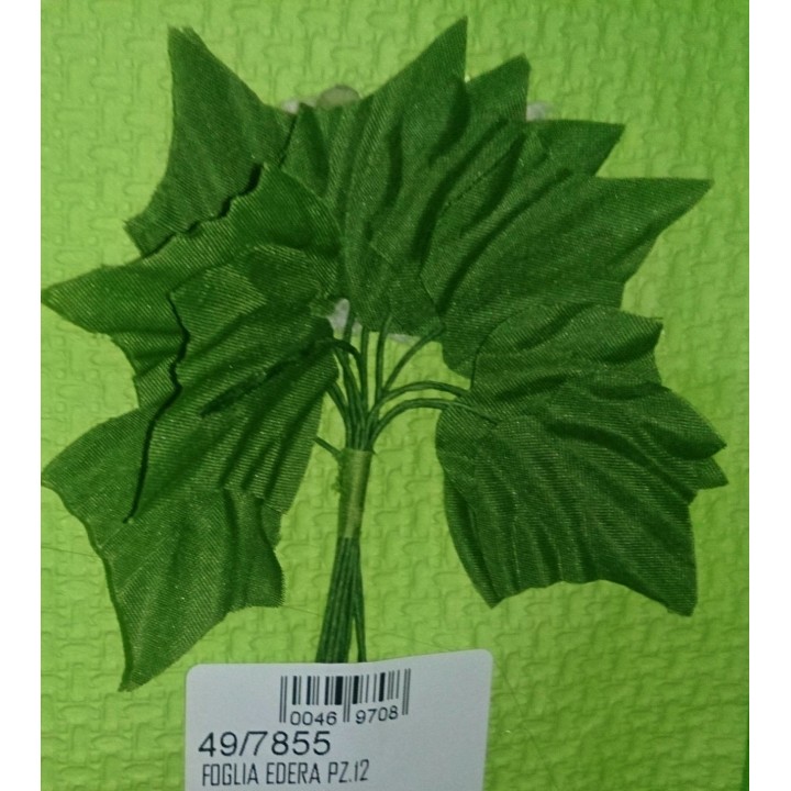 Foglia edera12 pz. | CarinCasa