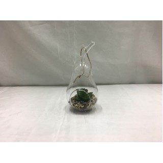 Pera in vetro con piantina artificiale 7x6,2x13,5 cm. |…