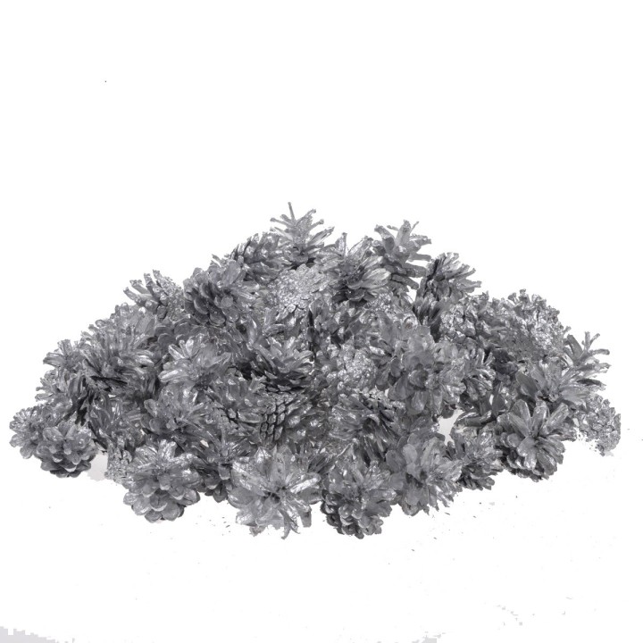 Pigne piccole 500 gr. | CarinCasa