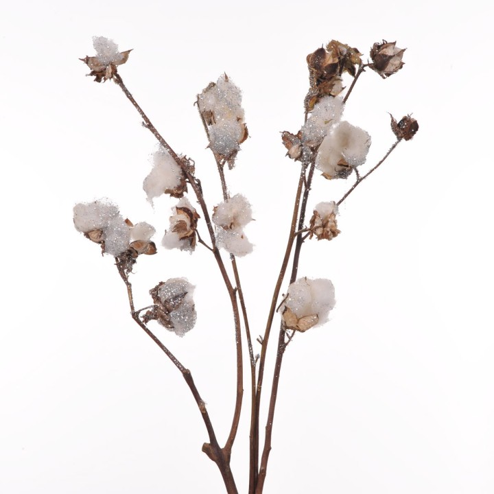 Cotone 2 rami 60/70 cm c/brillant | CarinCasa