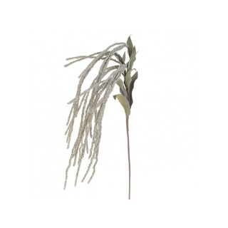 Amaranthus x 5 90 cm. Green al | CarinCasa