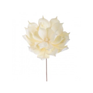 Fiore grande | CarinCasa