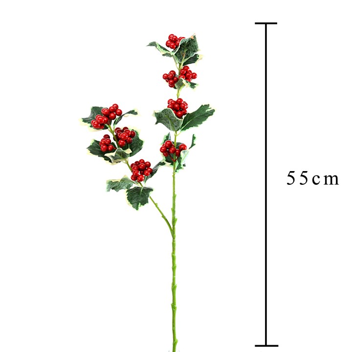 Agrifoglio x 2 55 cm | CarinCasa