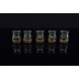 Natural piantina lanterna 6ass. (24/48) cm.17 | CarinCasa