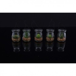 Natural piantina lanterna 6ass. (24/48) cm.17