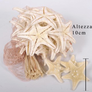 Stella 20 pz 3/5 cm bianc in rete | CarinCasa