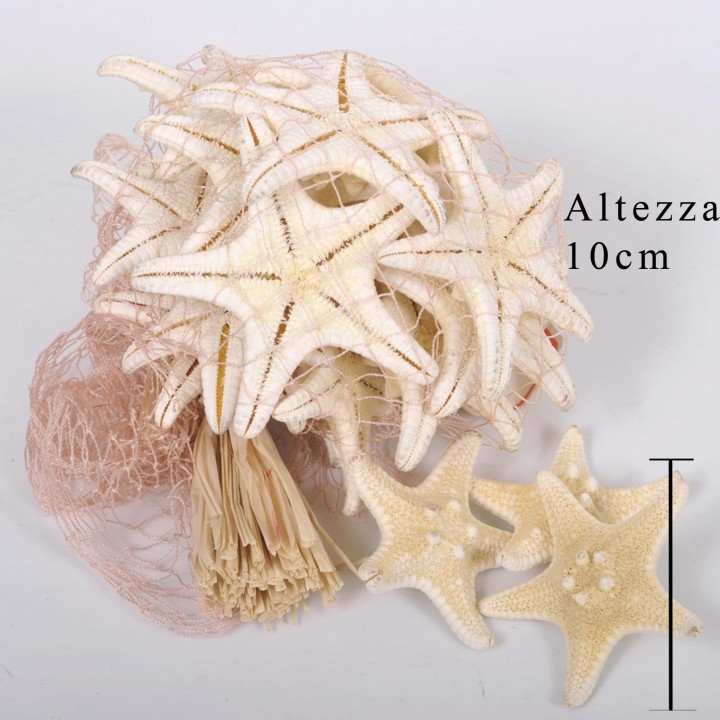 Stella 20 pz 3/5 cm bianc in rete | CarinCasa