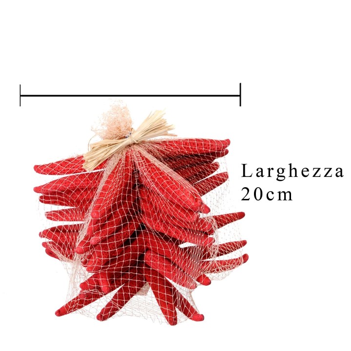 Stelle marine col. 10 pz 15/20 cm | CarinCasa