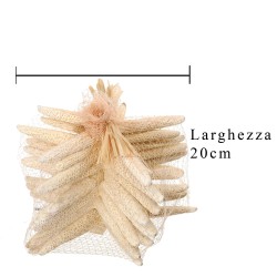 Stelle marine sbiancata 10 pz 15/20 cm